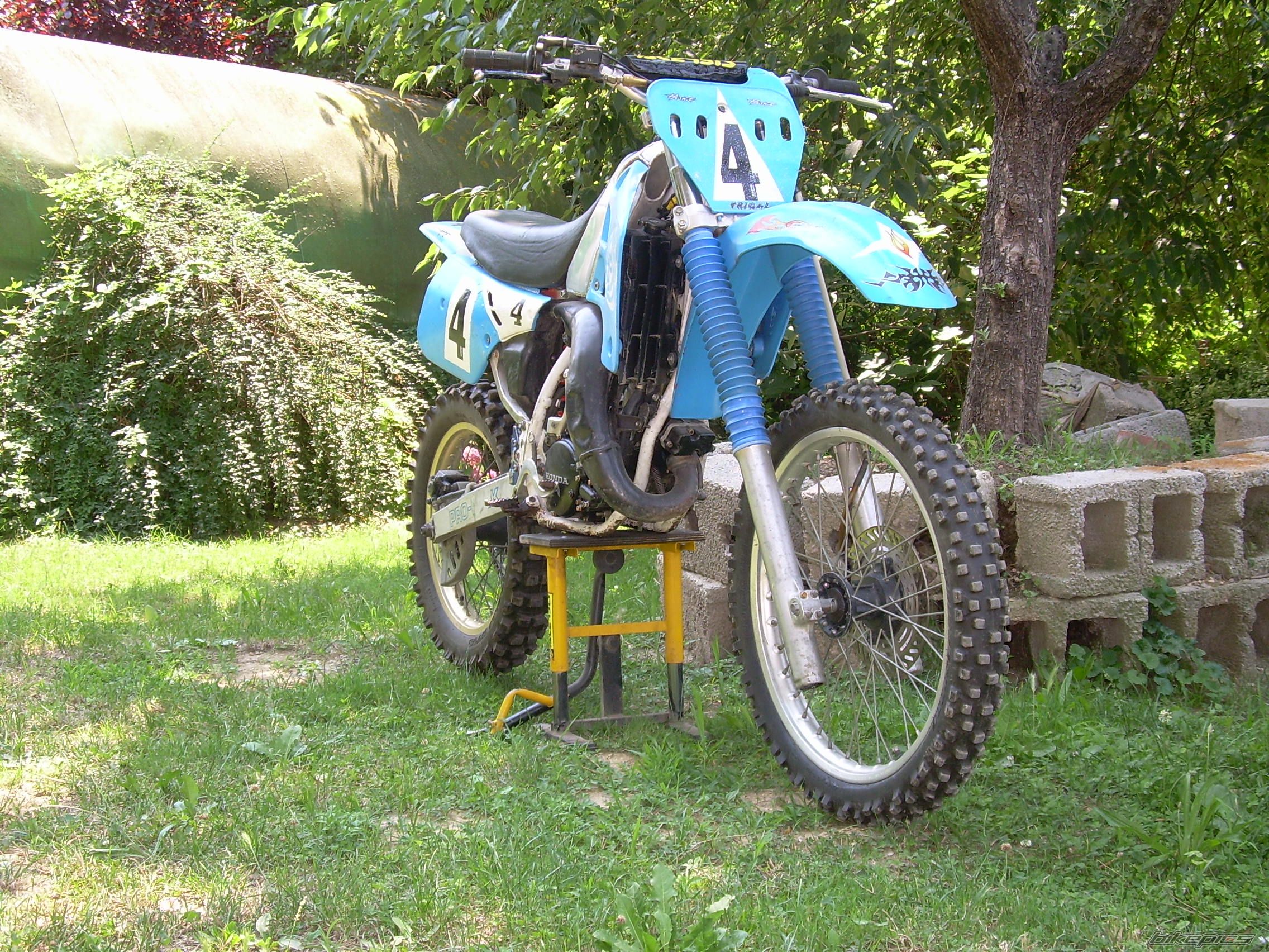 Photo 1253944