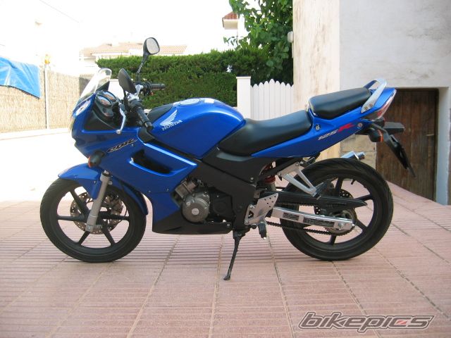 Photo 1253995