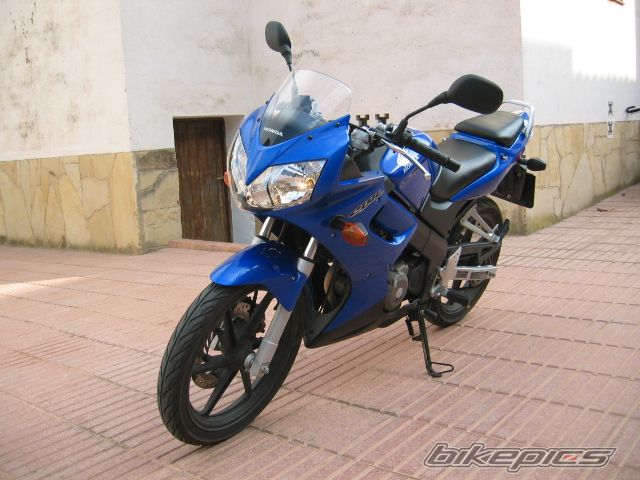 Photo 1253997