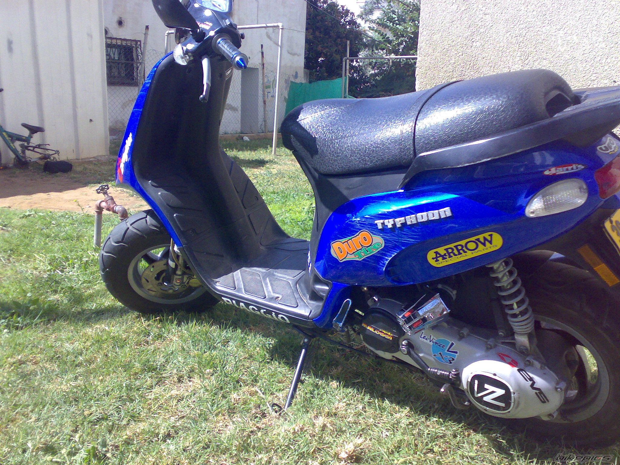 Photo 1254005