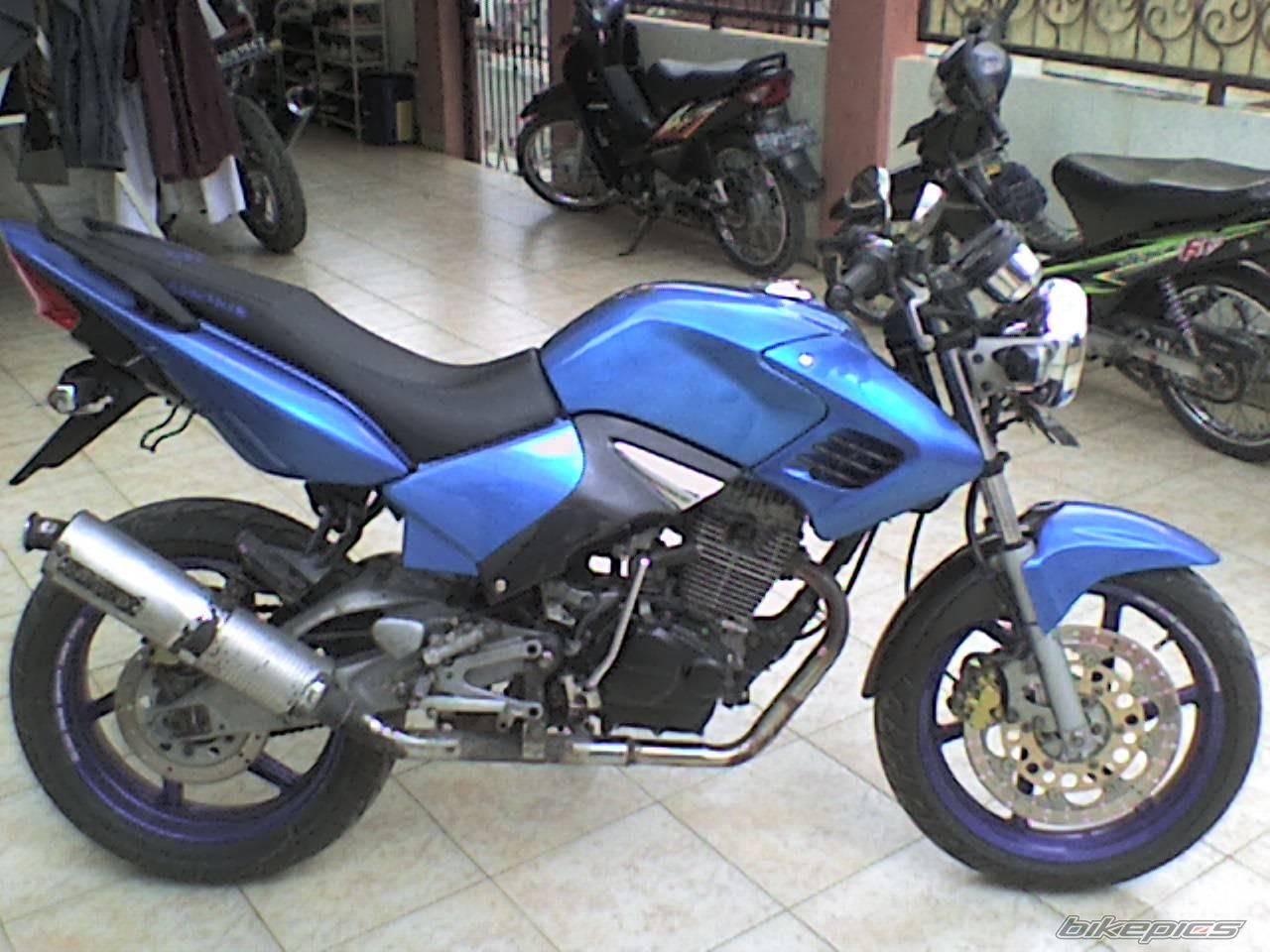 Photo 1254074