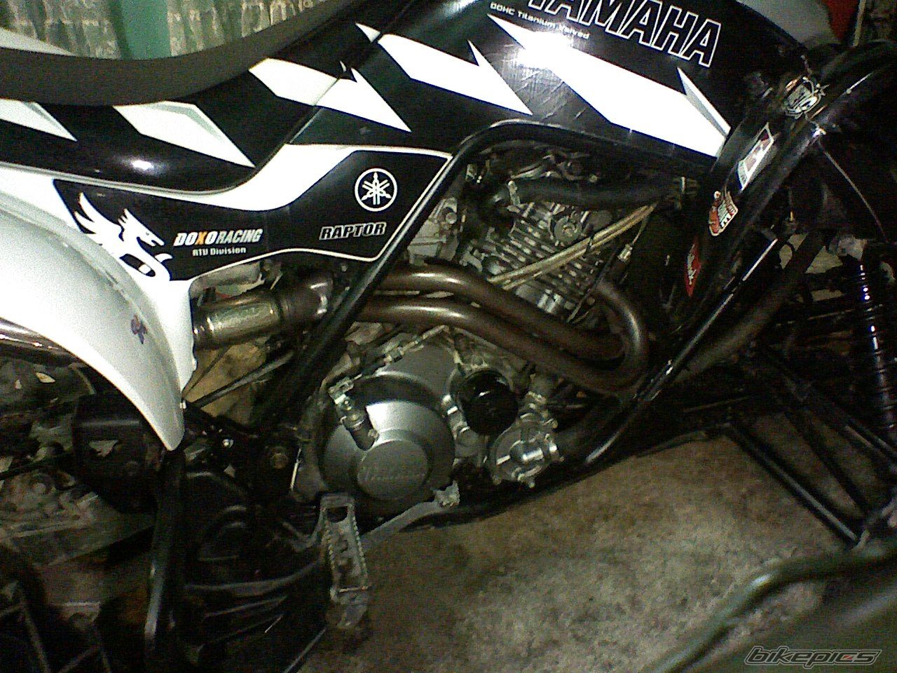 Photo 1254110