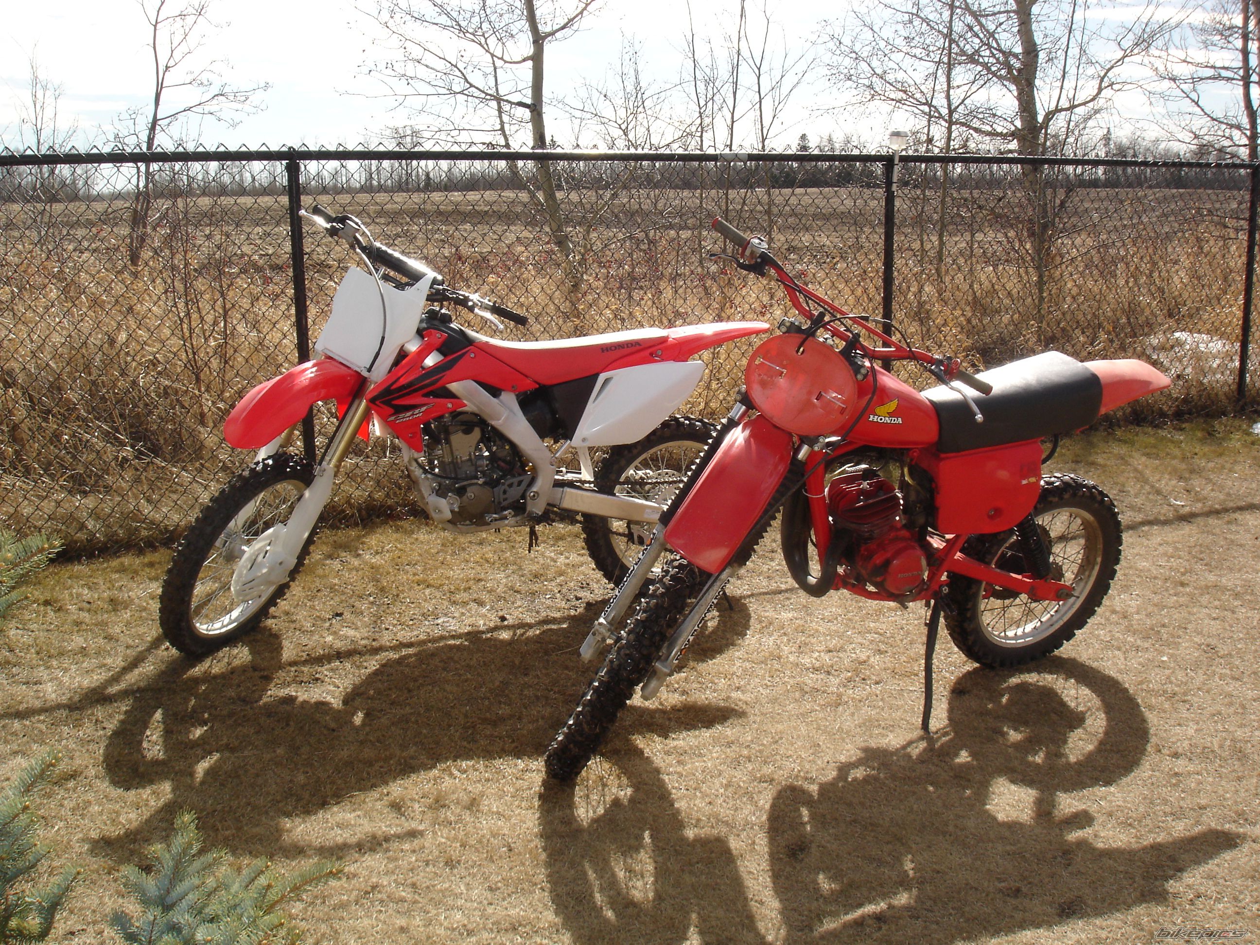 Photo 1254115