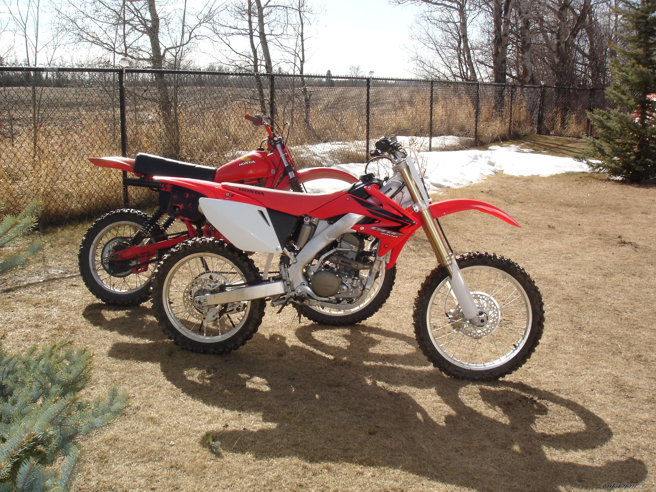 Photo 1254117
