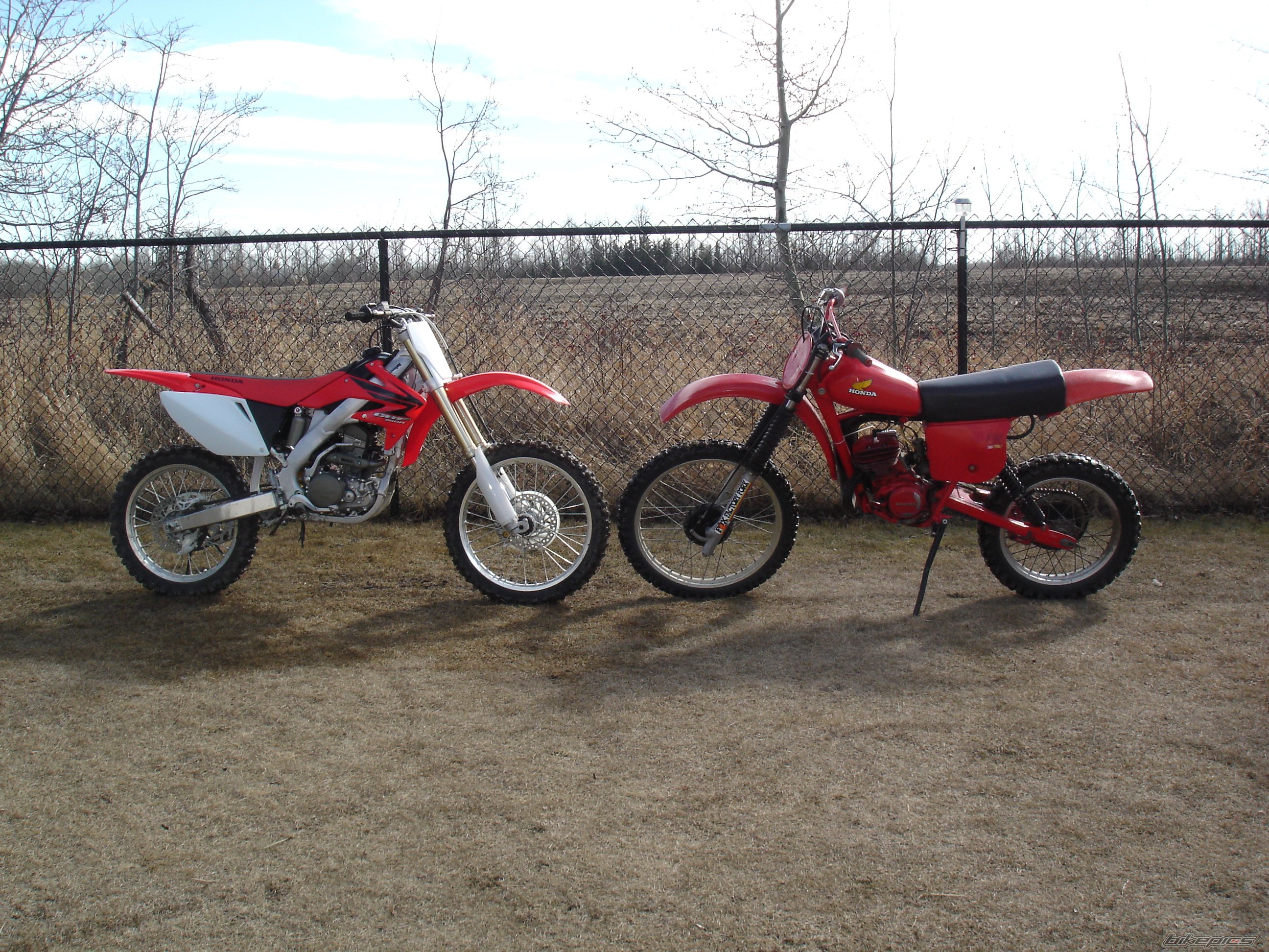Photo 1254118