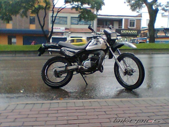 Photo 1254184