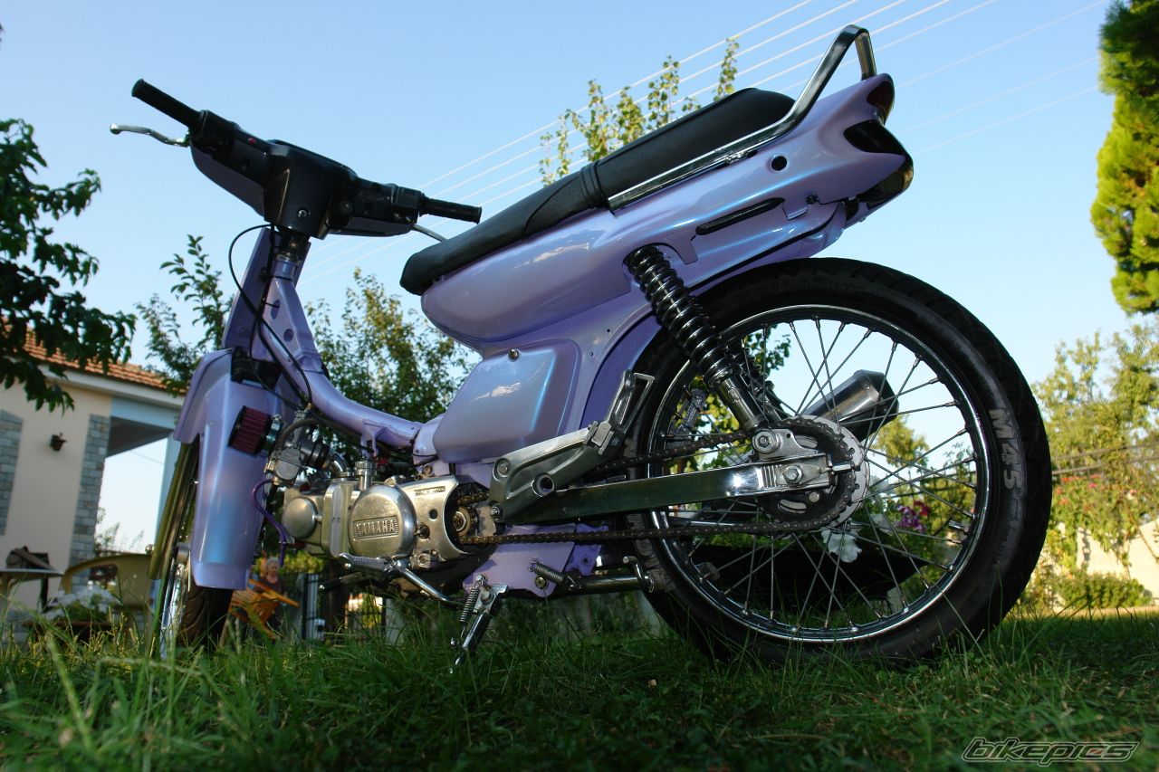 Photo 1254187