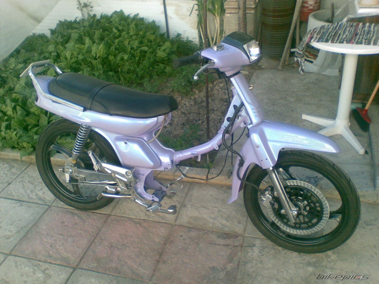 Photo 1254191