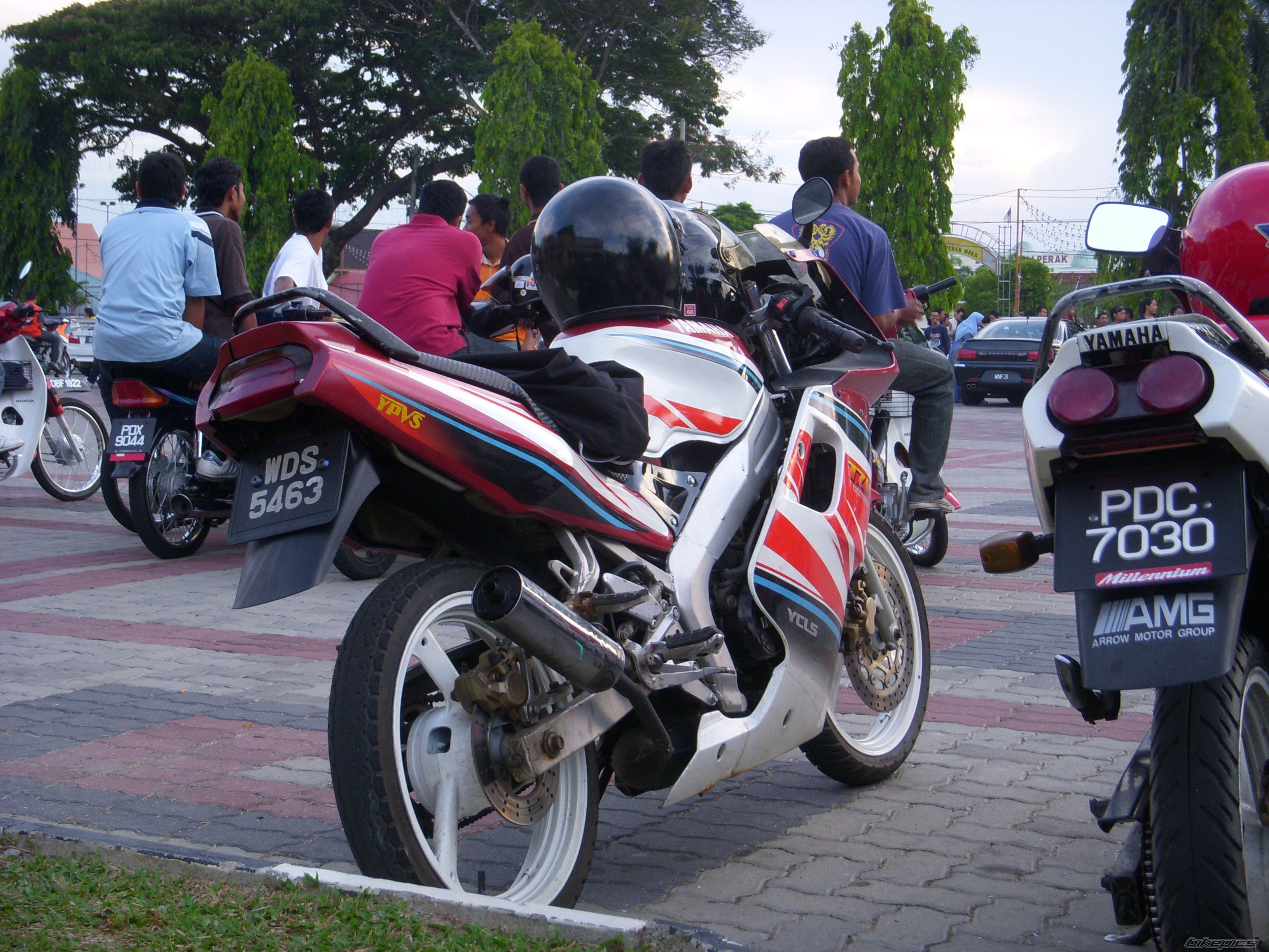 Photo 1254251
