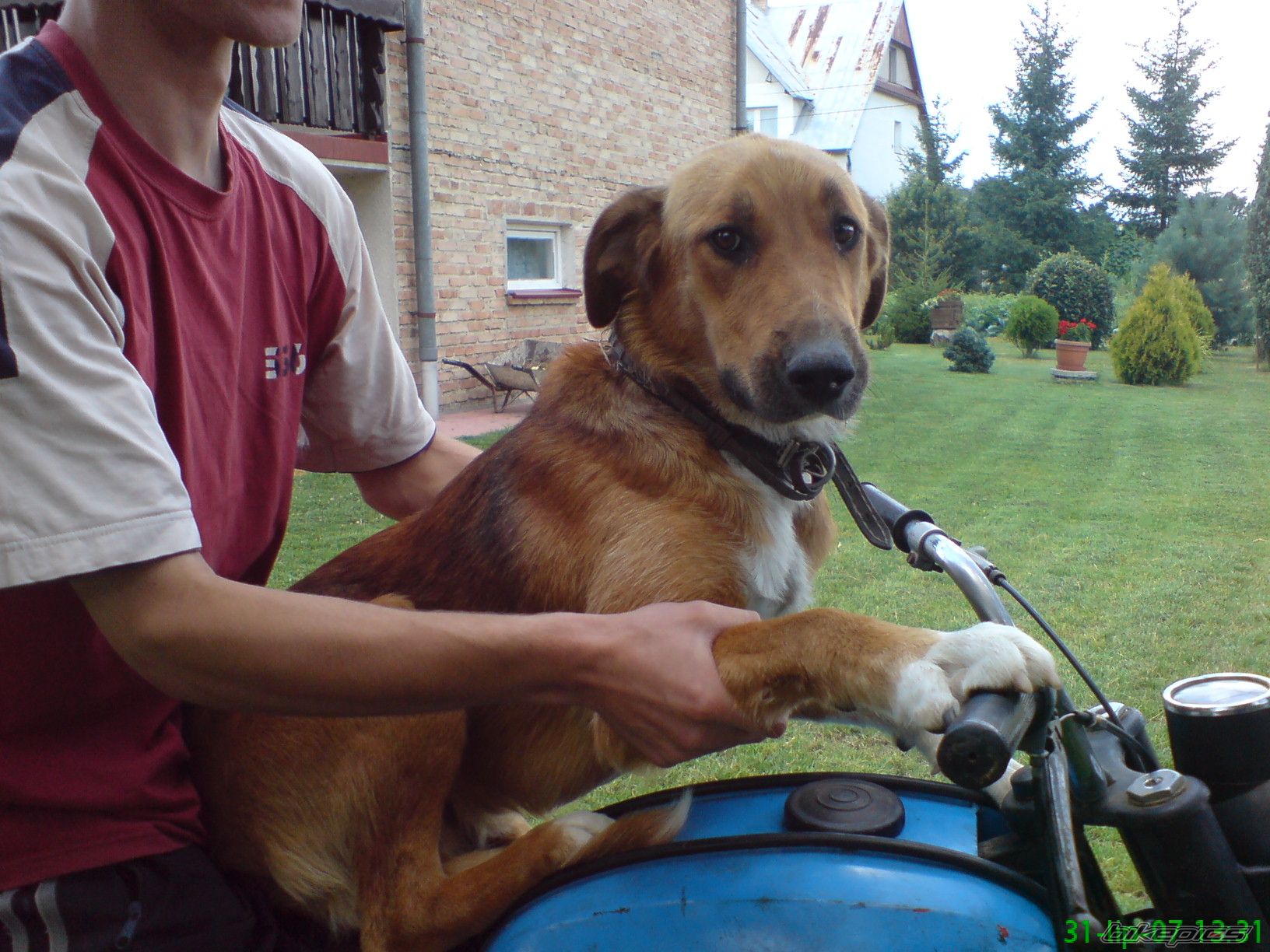 Photo 1254267