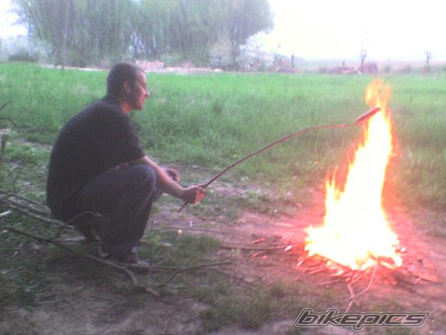 Photo 1254268