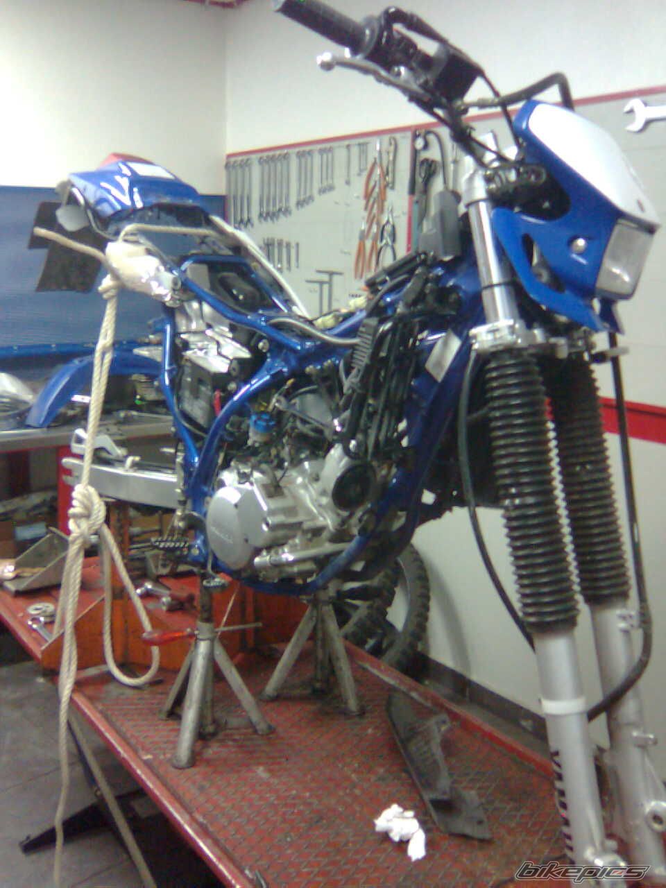 Photo 1254305