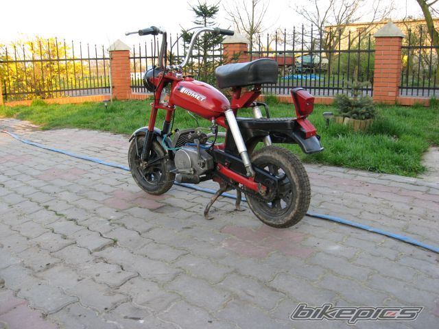 Photo 1254317