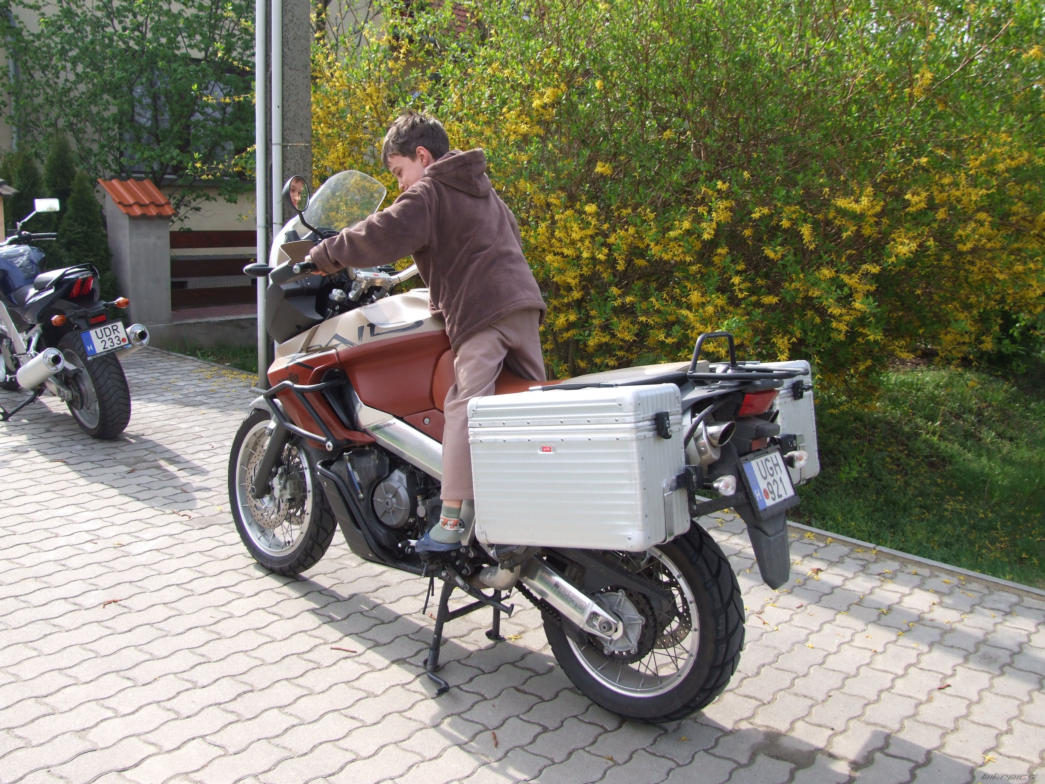 Photo 1254322