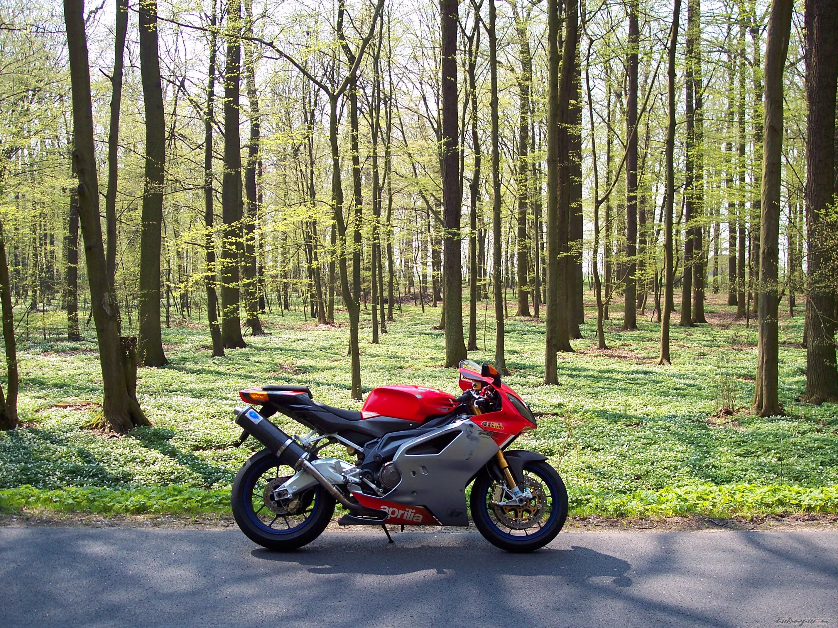 Bike Photo 1254367