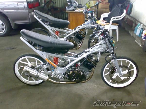 Photo 1254369