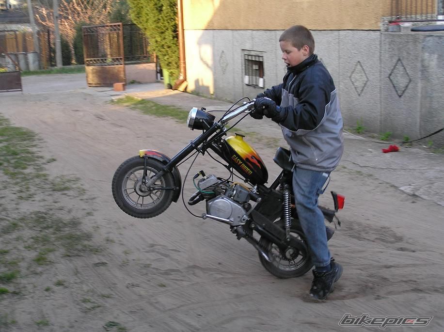 Photo 1254415