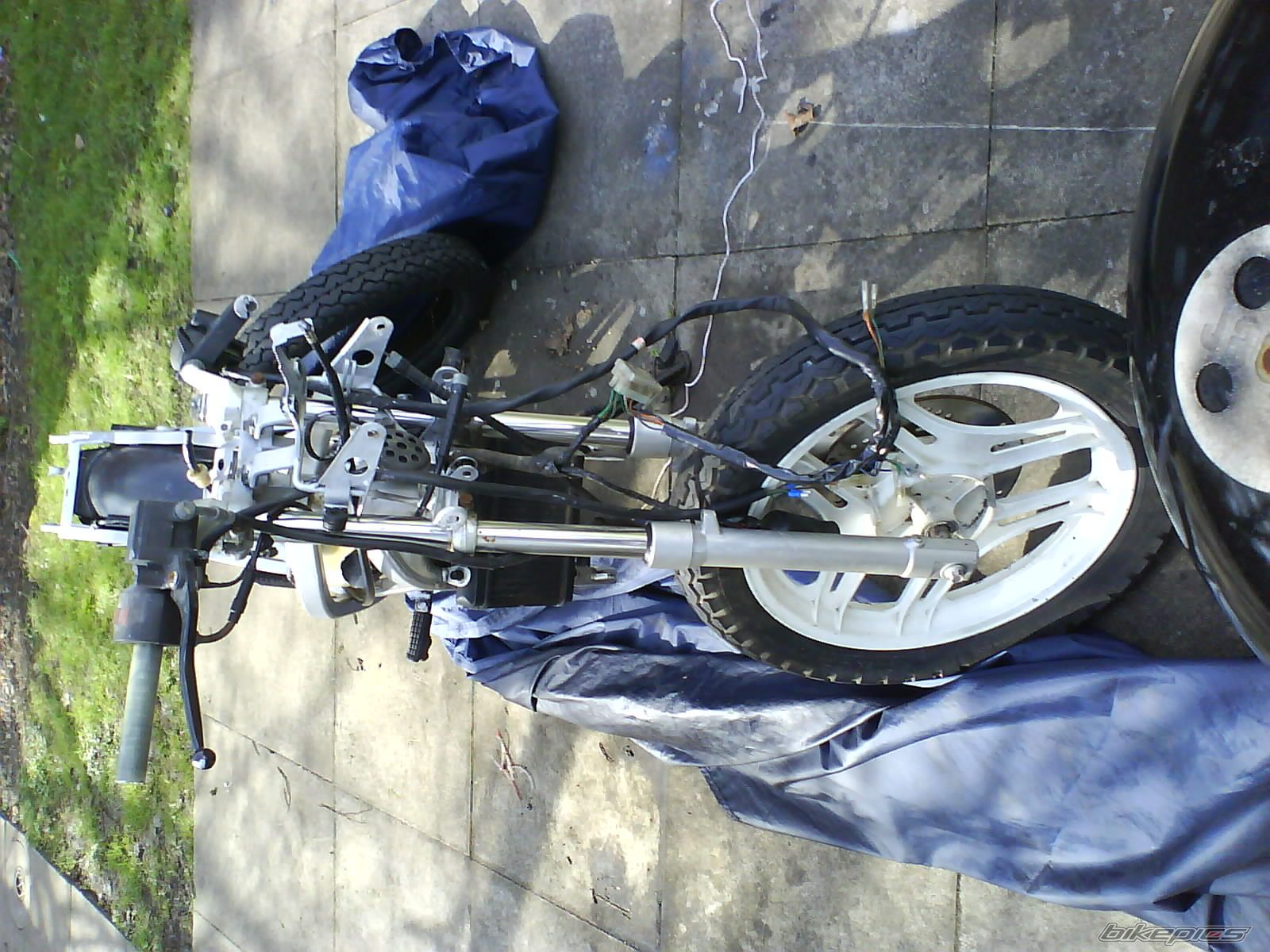 Photo 1254447