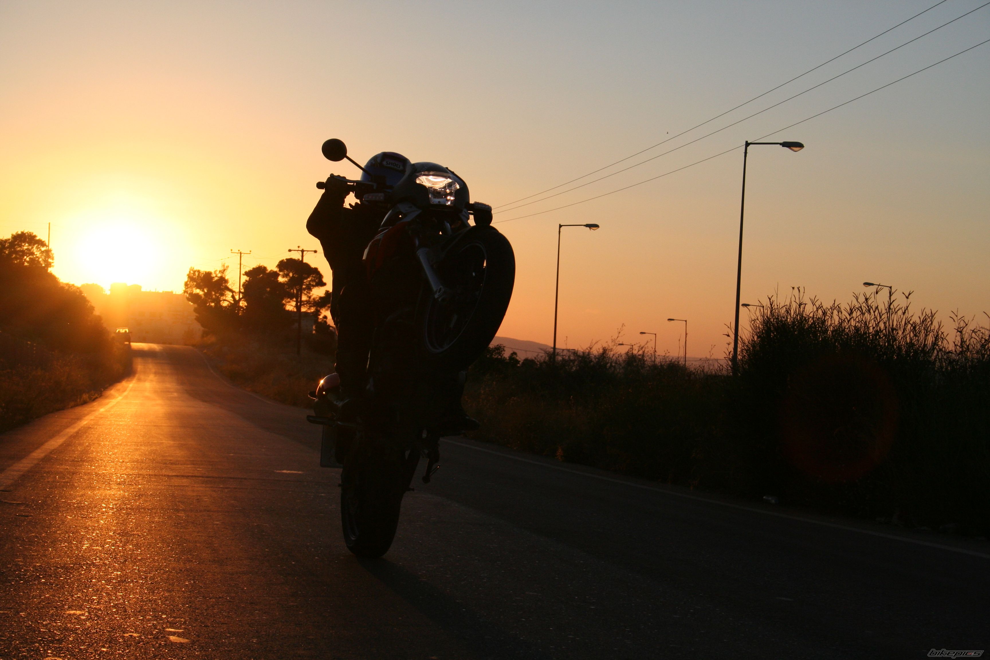 Photo 1254462