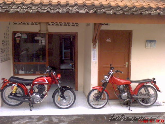 Photo 1254543