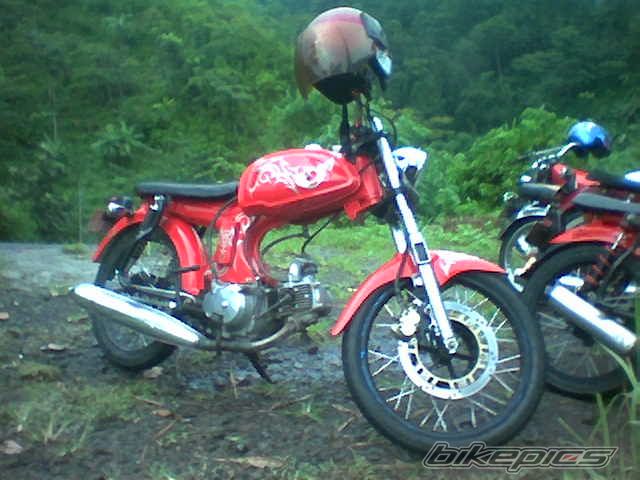 Photo 1254579