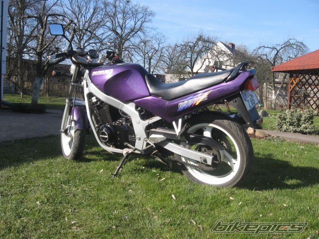 Photo 1254606