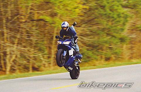 Photo 125462