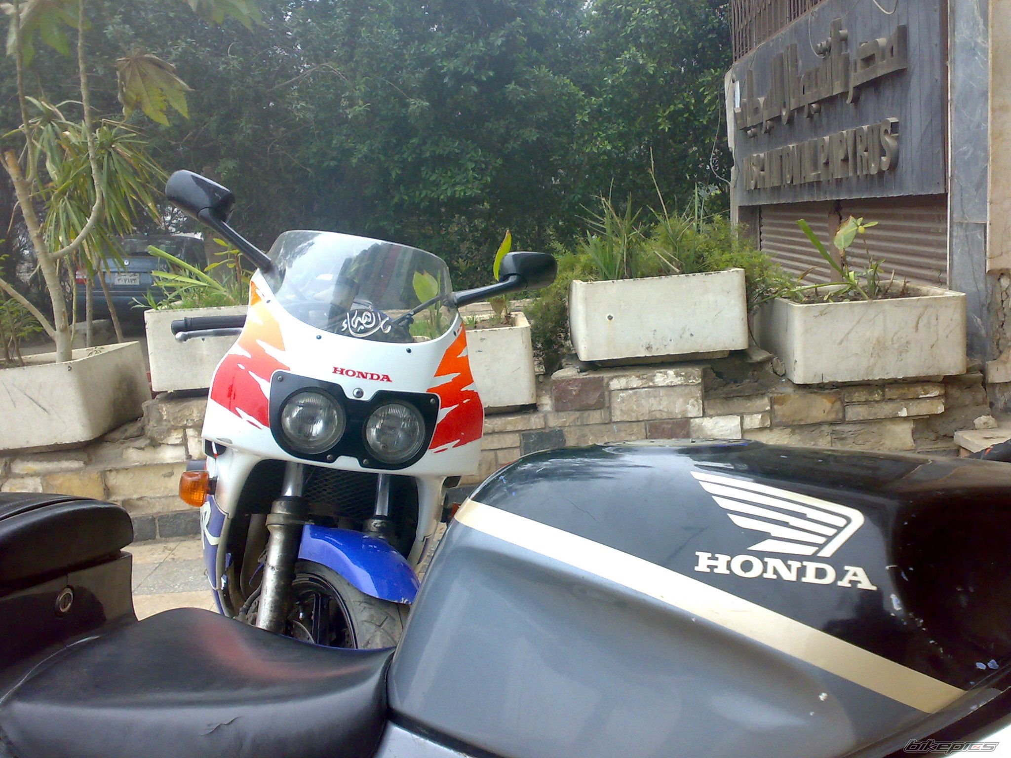 Photo 1254627