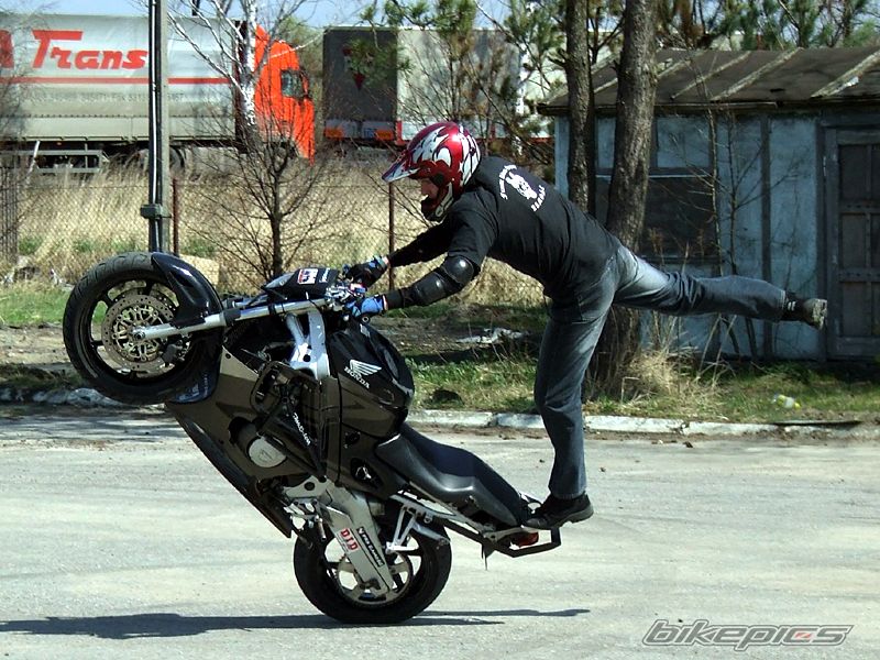 Photo 1254636