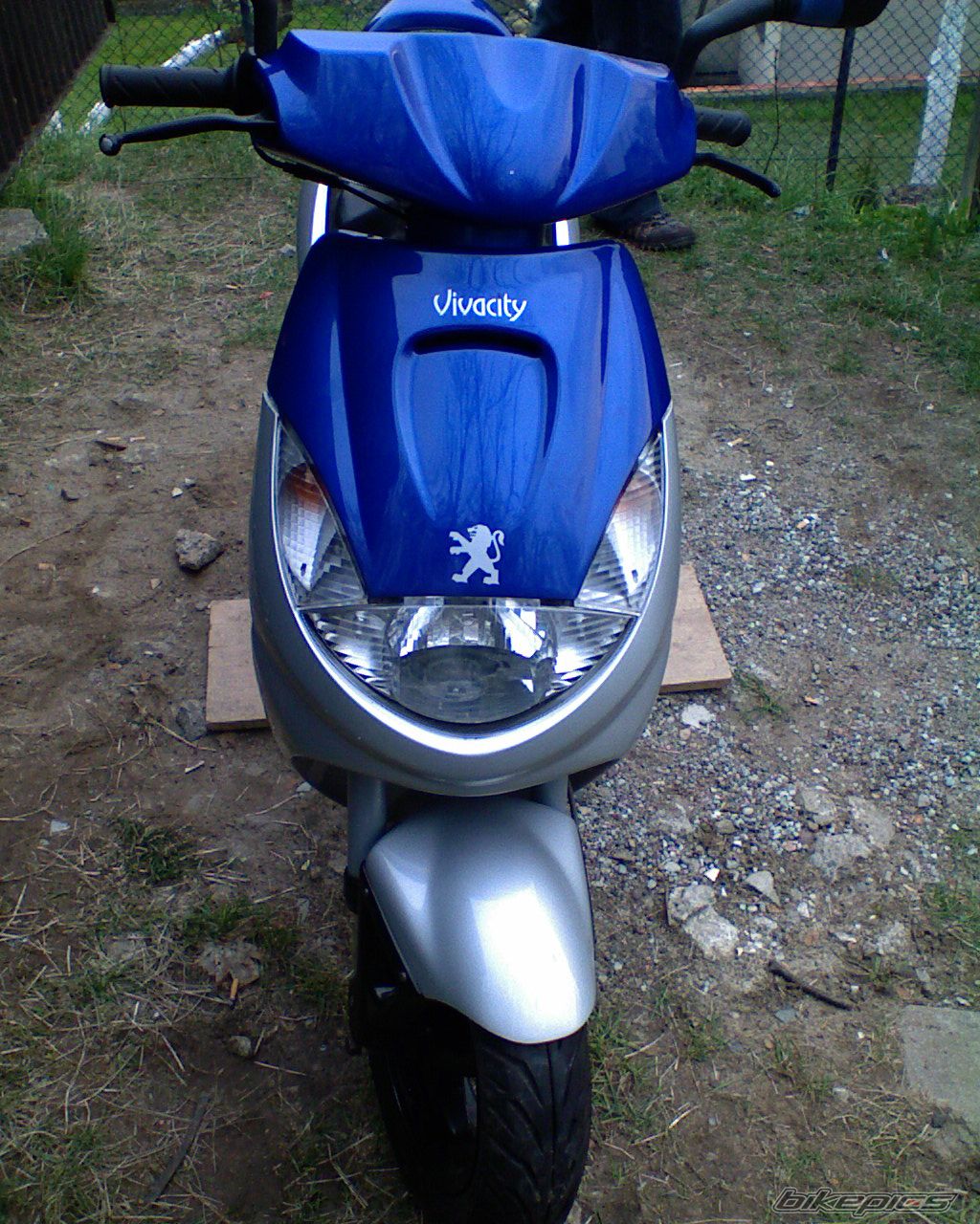 Photo 1254647