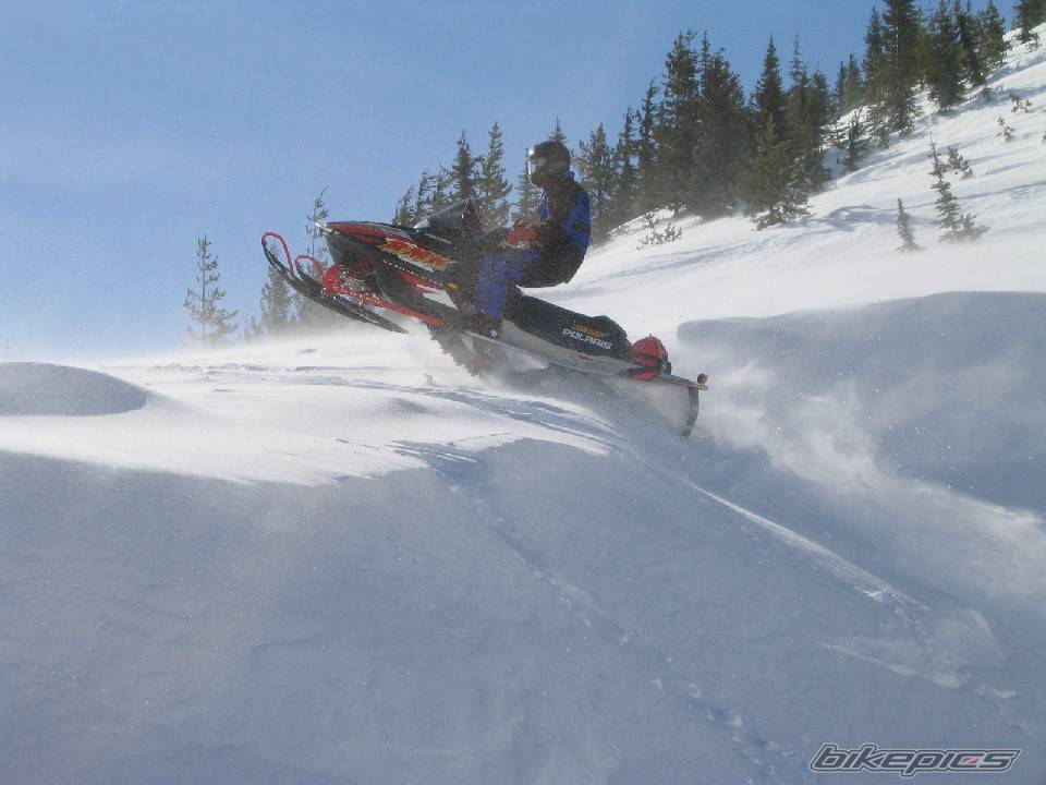 Photo 125465