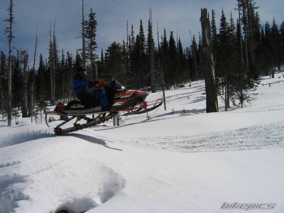 Photo 125467