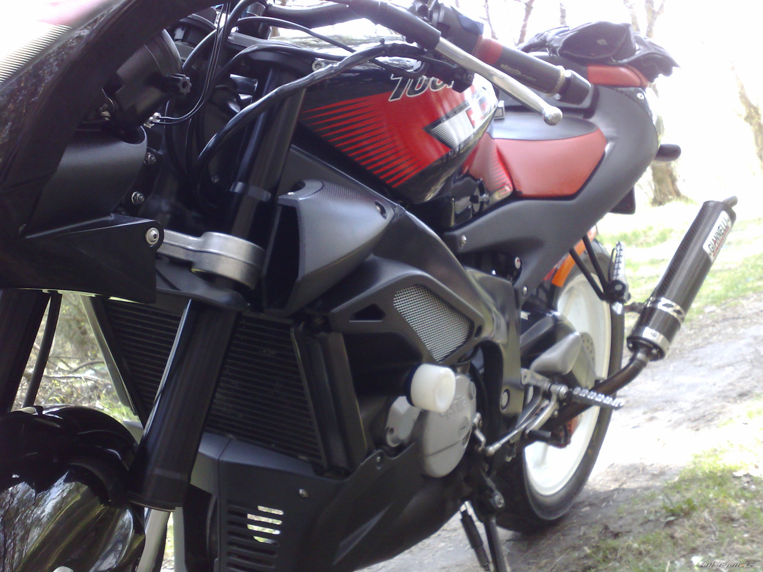 Photo 1254743