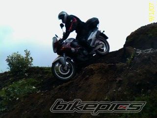 Photo 1254747