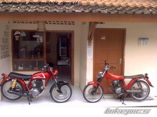 Photo 1254870