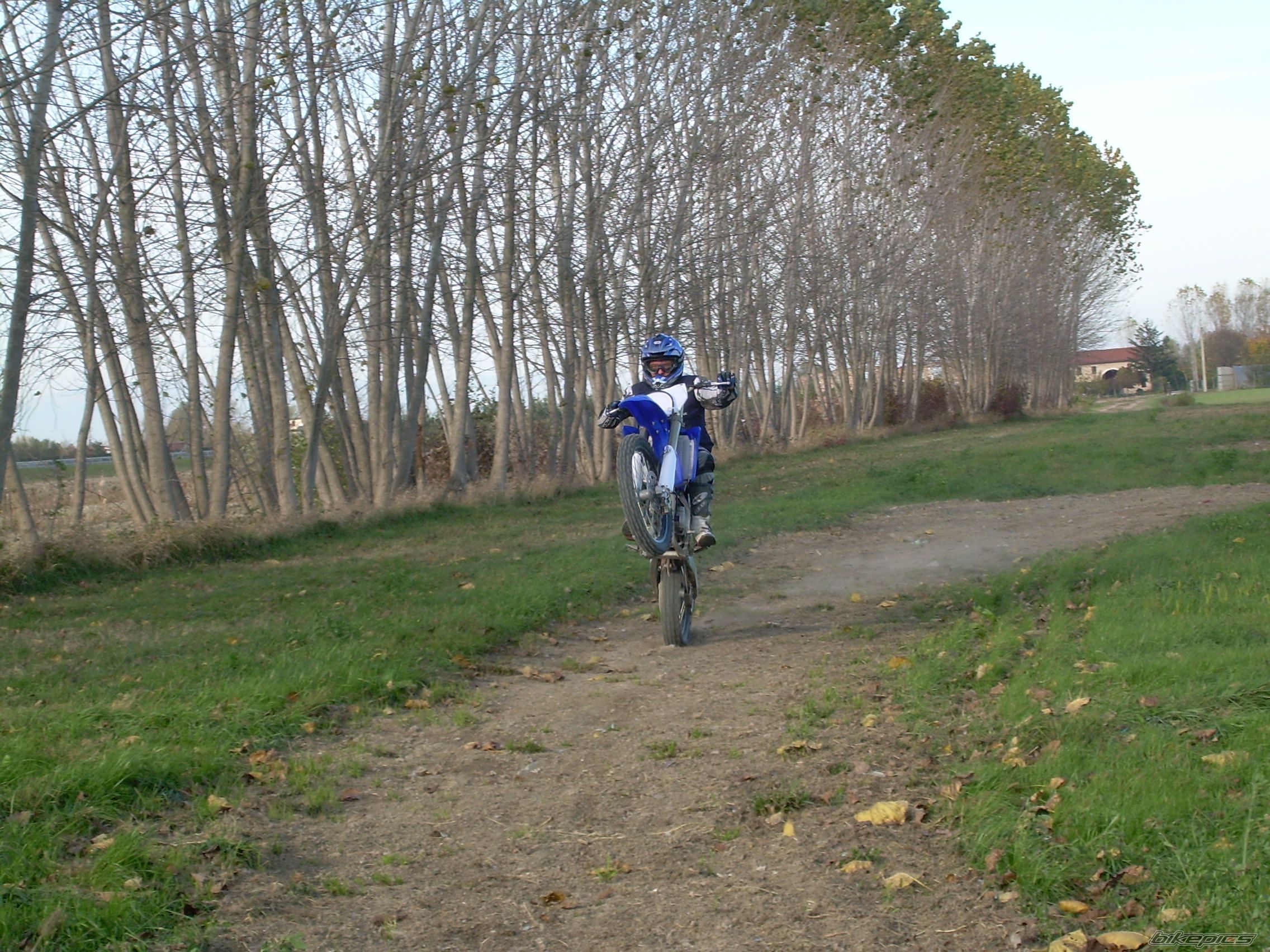 Photo 1254882