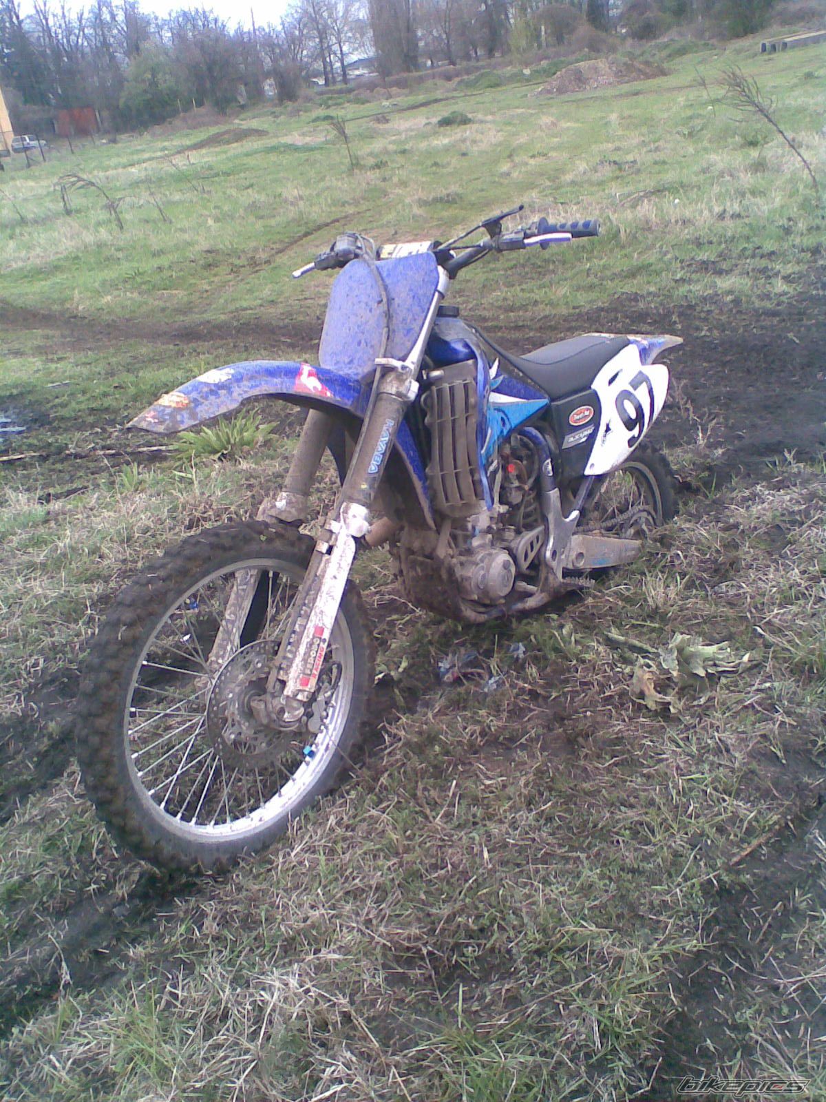 Photo 1254904