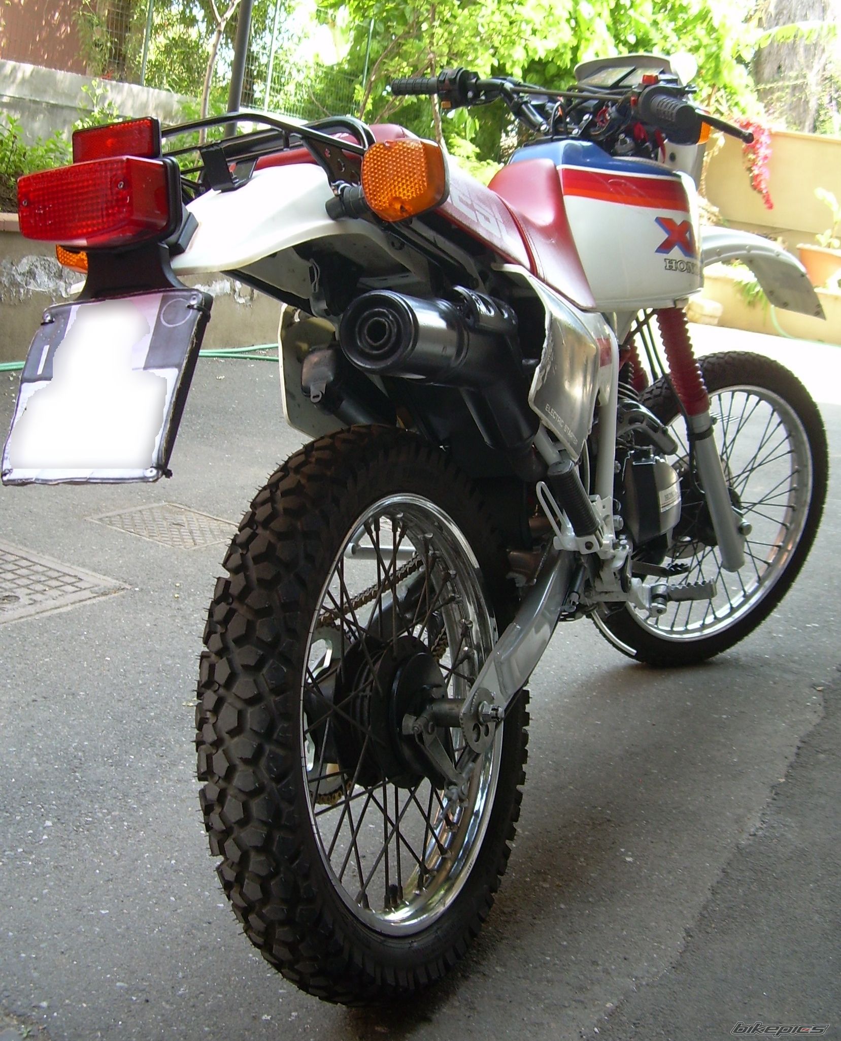 Photo 1254918