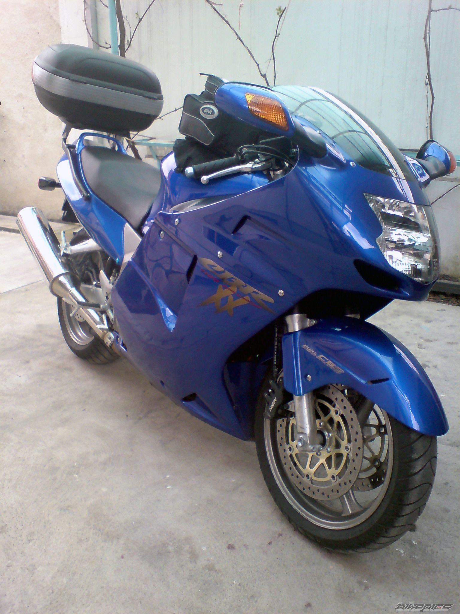 Photo 1254955