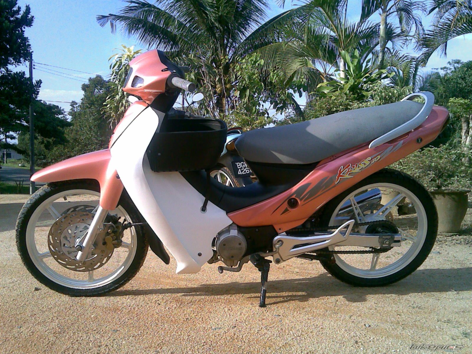 Photo 1255124