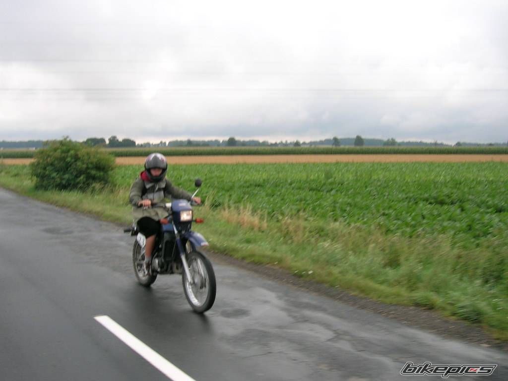 Photo 1255343