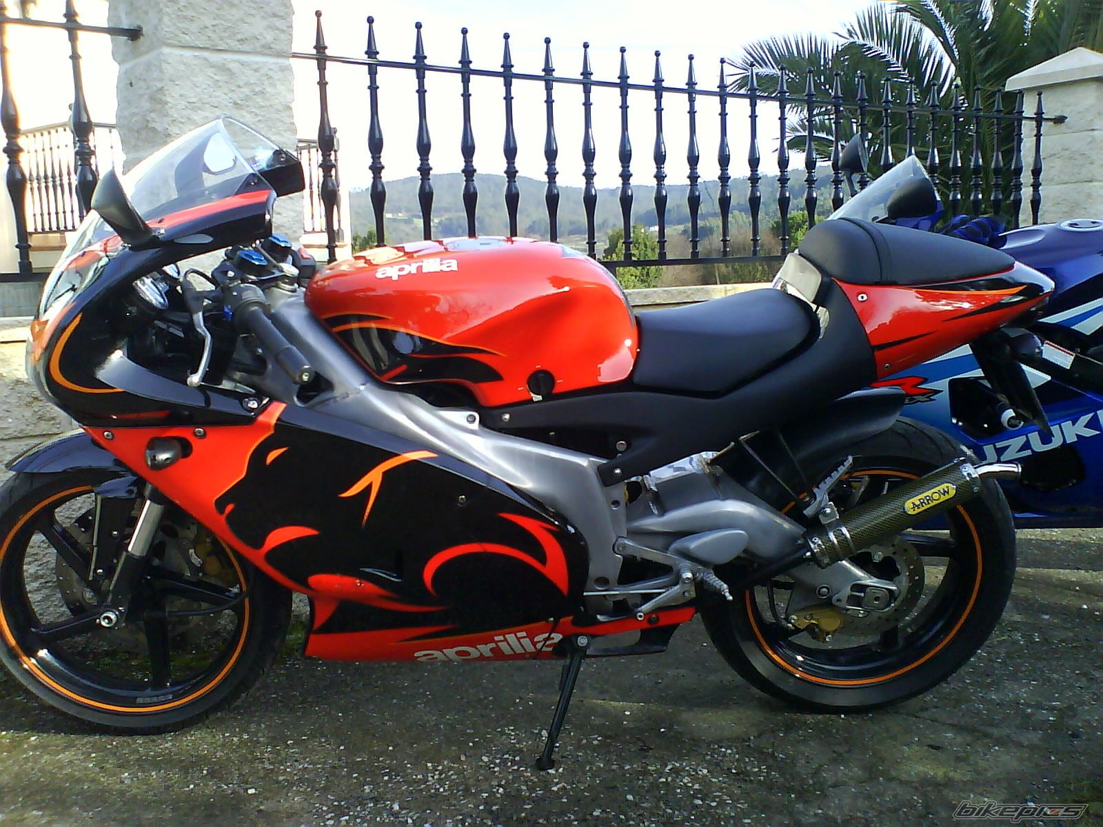 Photo 1255354