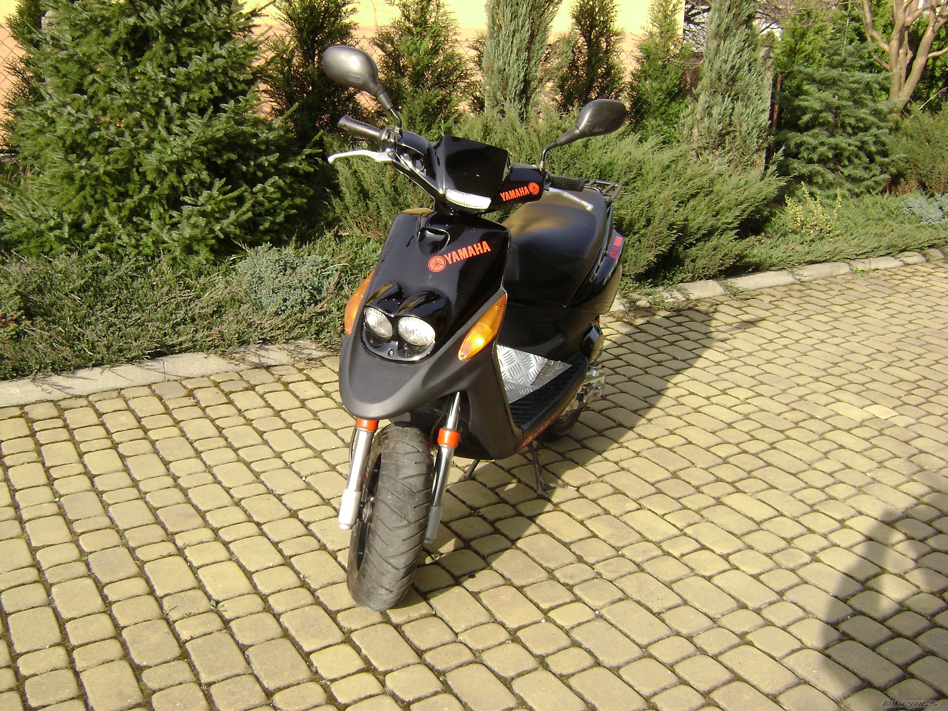 Photo 1255397