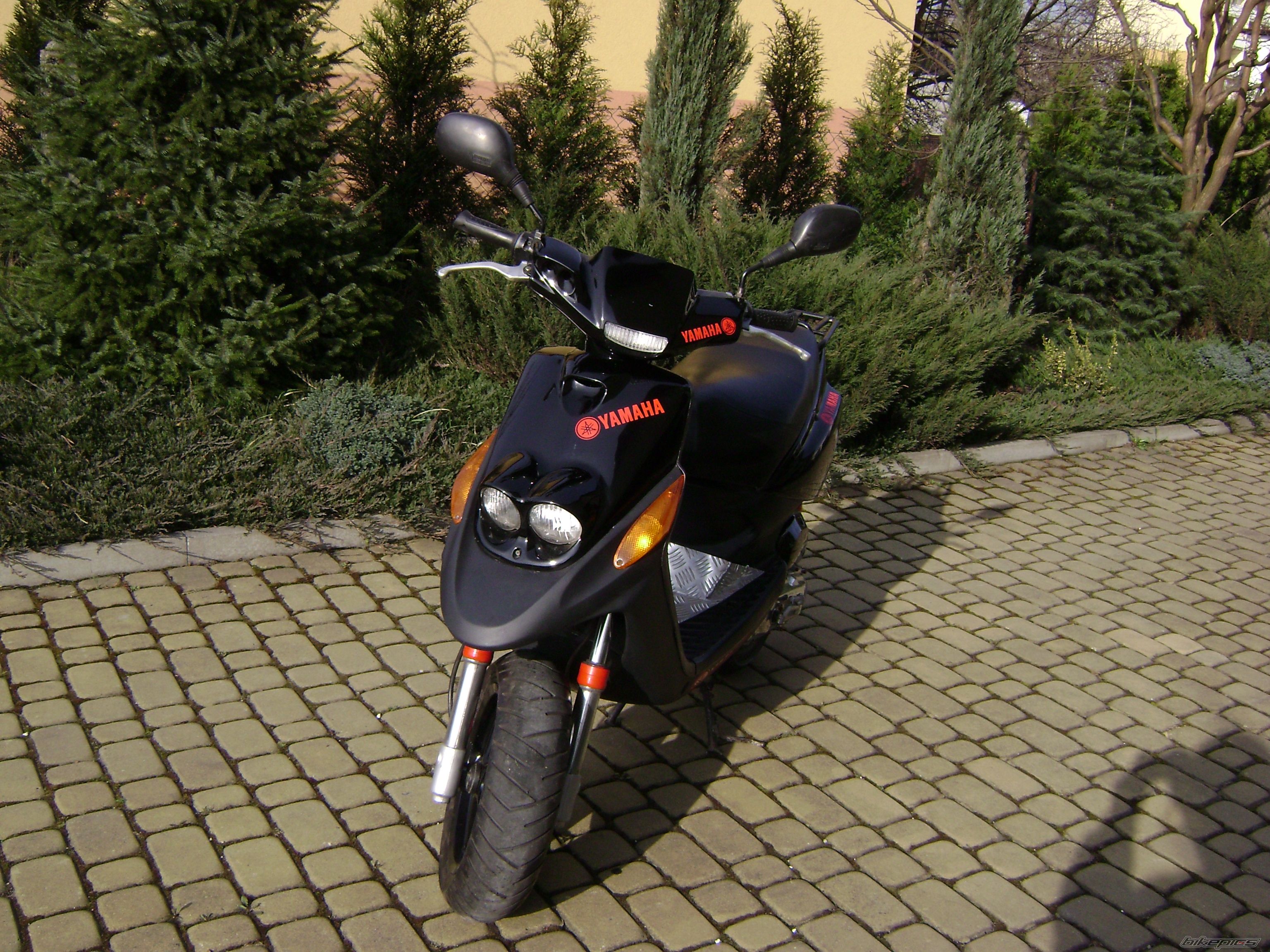 Photo 1255418
