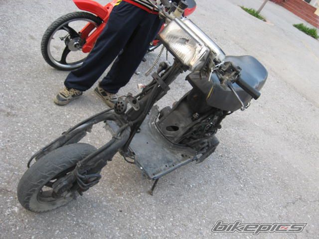 Photo 1255450