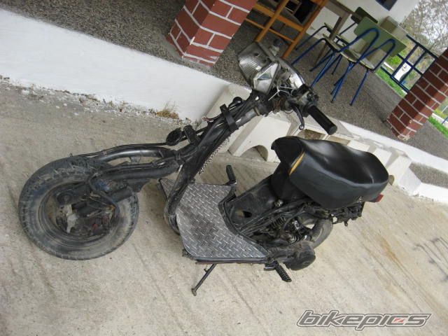 Photo 1255454