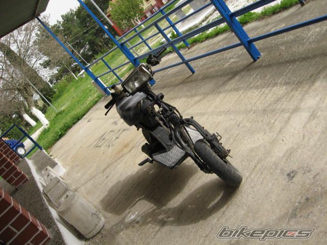 Photo 1255458