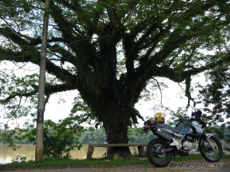 Bike Photo 1255459