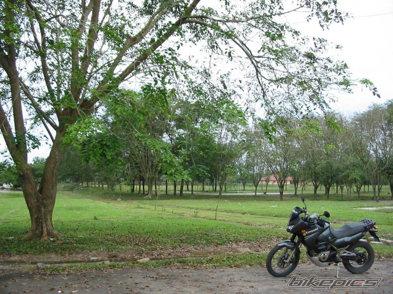 Bike Photo 1255460