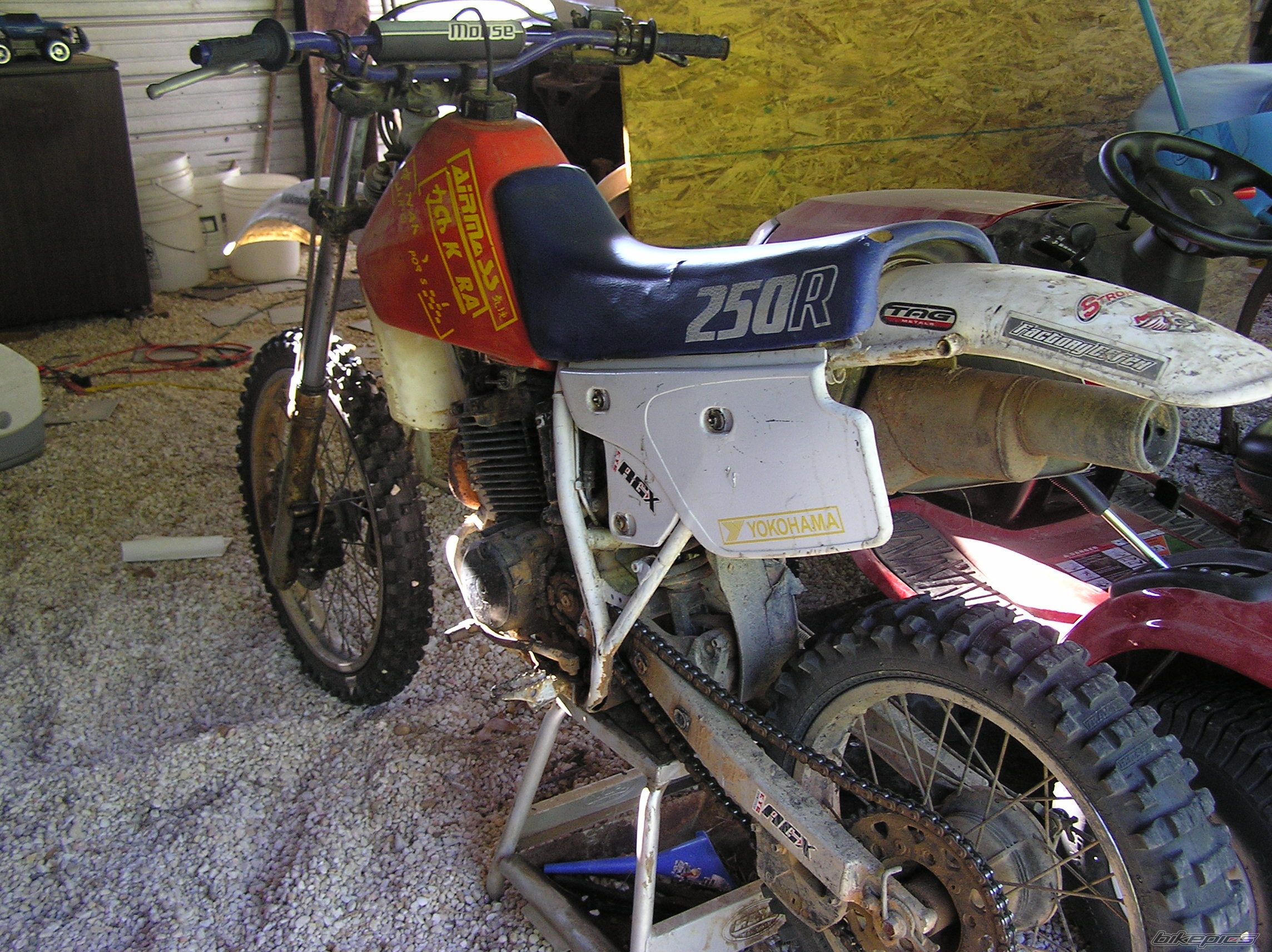 Photo 1255503